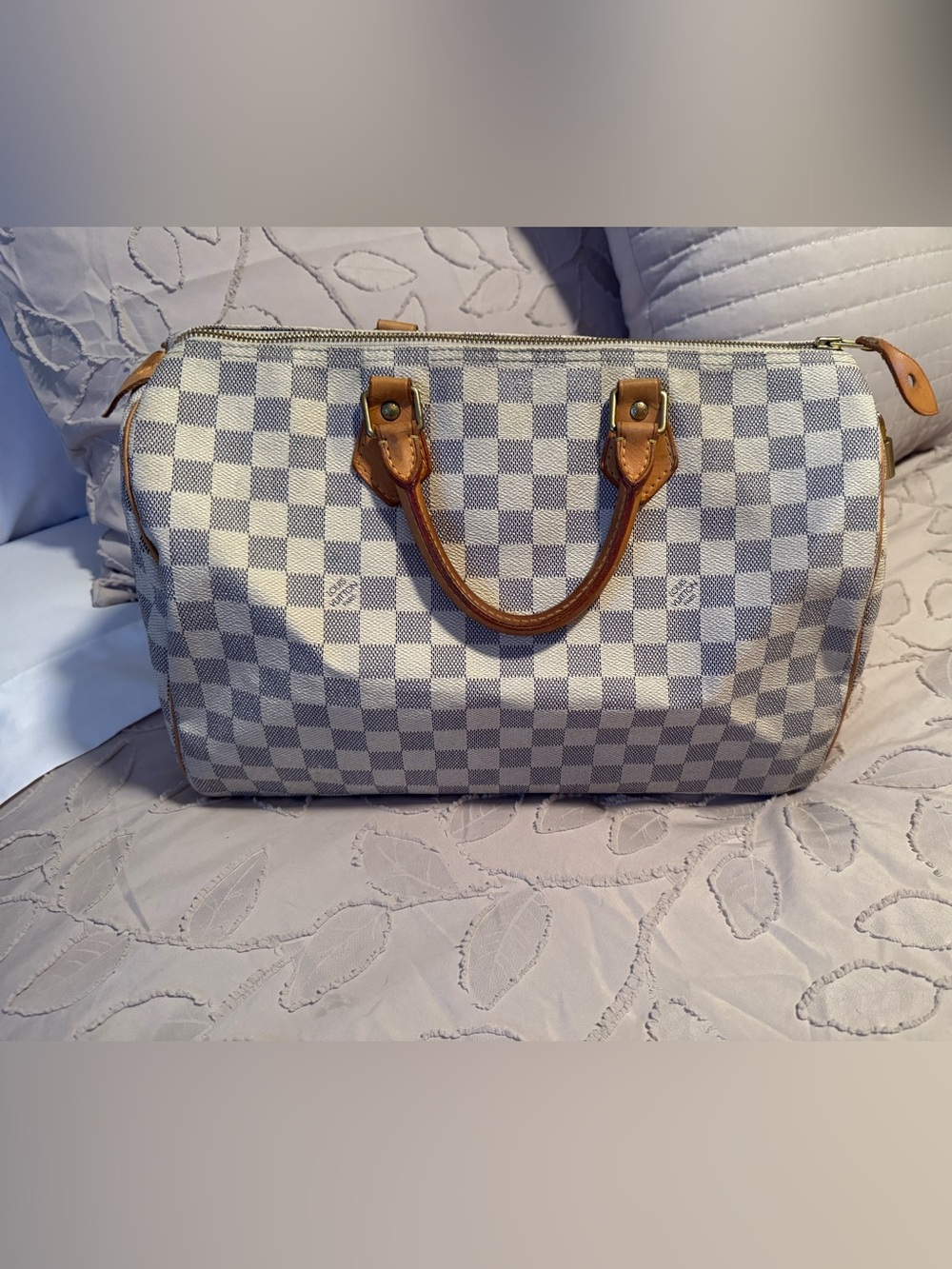 Louis Vuitton Damien Azur Speedy 30